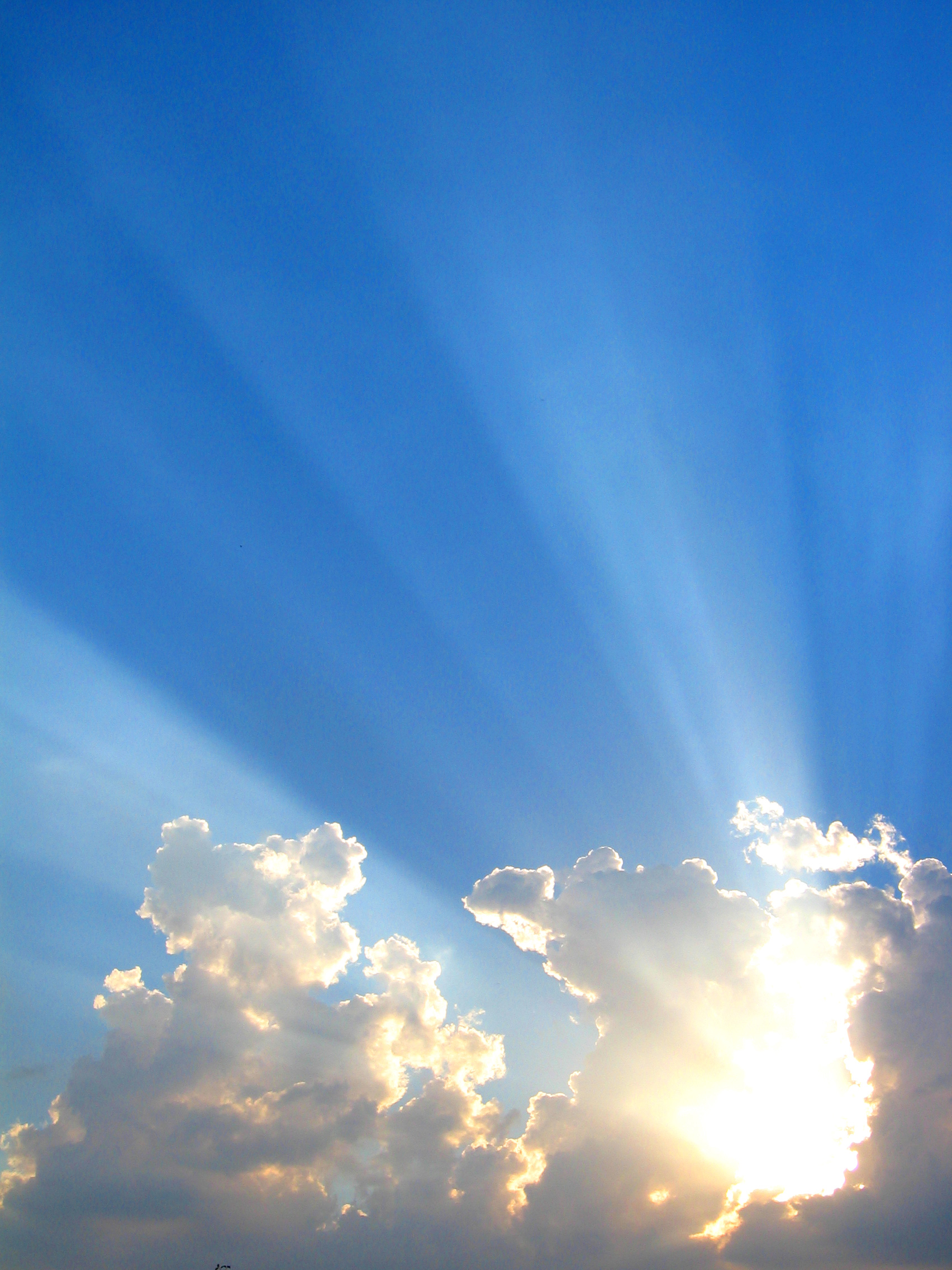 Enter into the Presence of the Lord