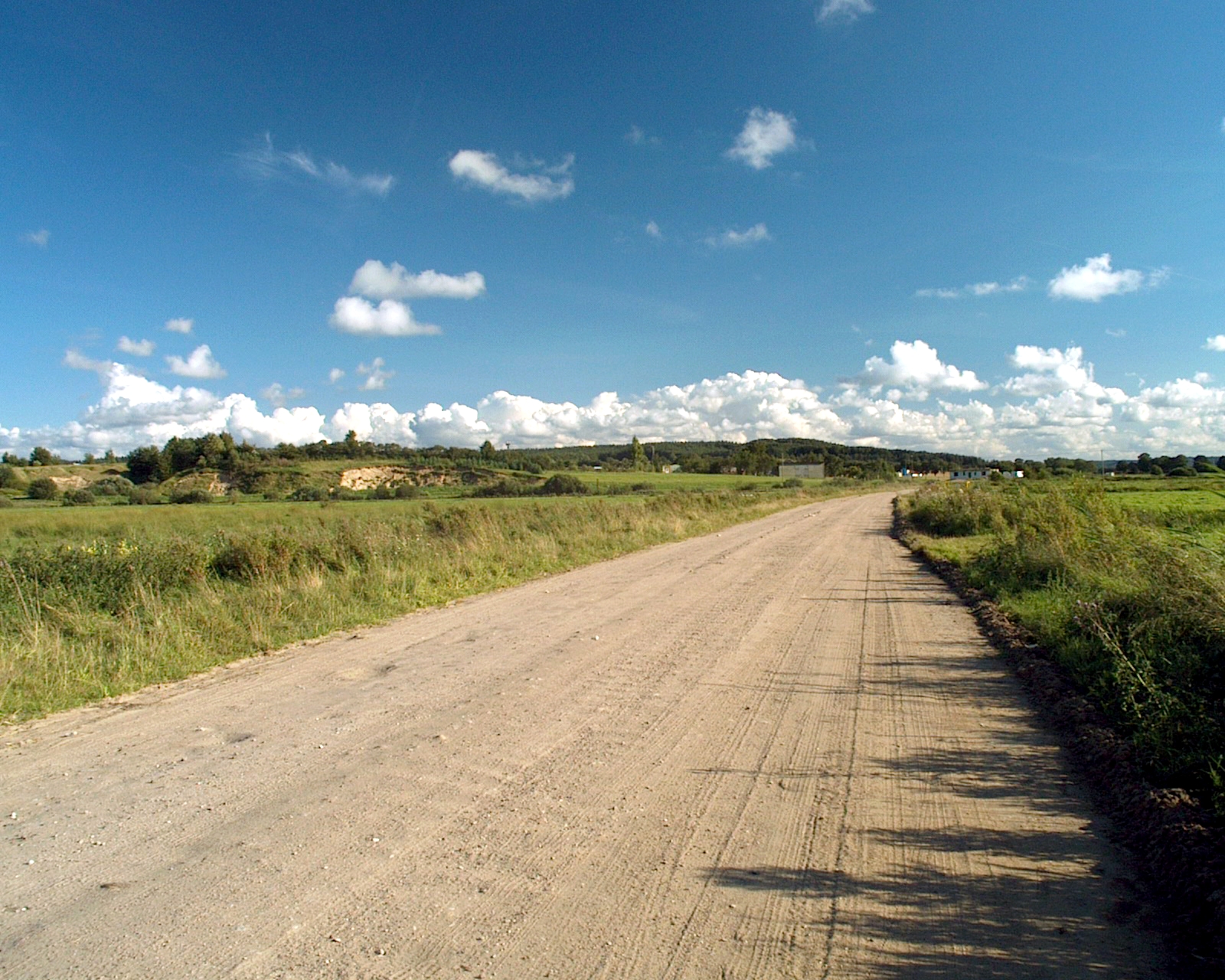 Take the Path of Life