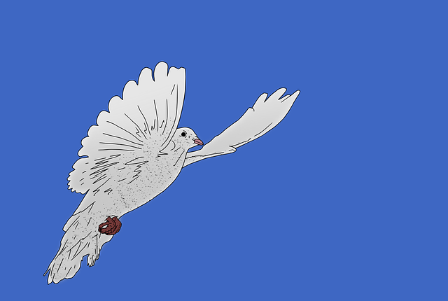 wings dove