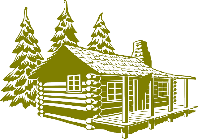 pixabay image 312124