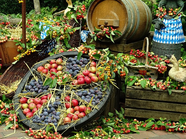 pixabay image 964165